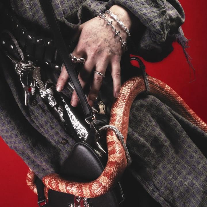 Hard Jewelry Menโs Accessories Stainless steel 925 Sterling silver year of the snake ouroboros carabiner