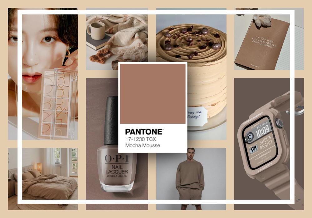 Pantone Mocha Mousse Featured Image