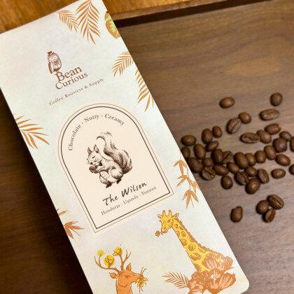 BeanCurious Coffee Co Wilson – House Blends