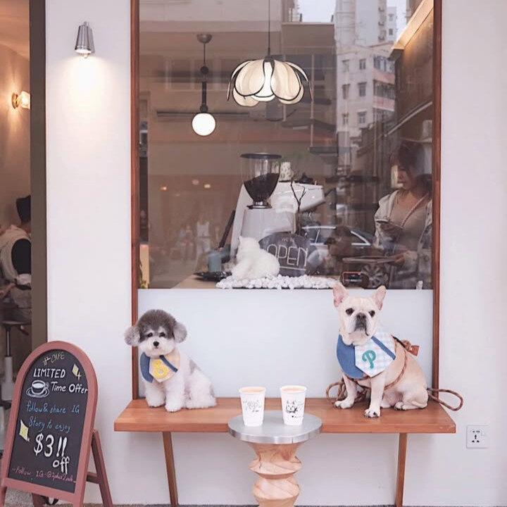 Two dogs sitting at 2+2 cafe at Sham Shui Po