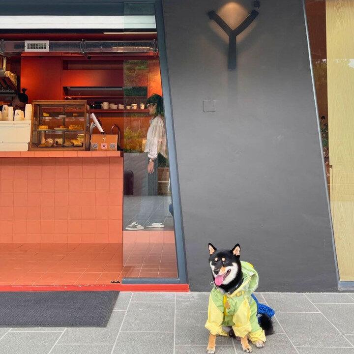 June New cafés Ā Kafe