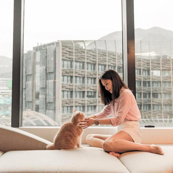 cat at hong kong ocean park marriott hotel