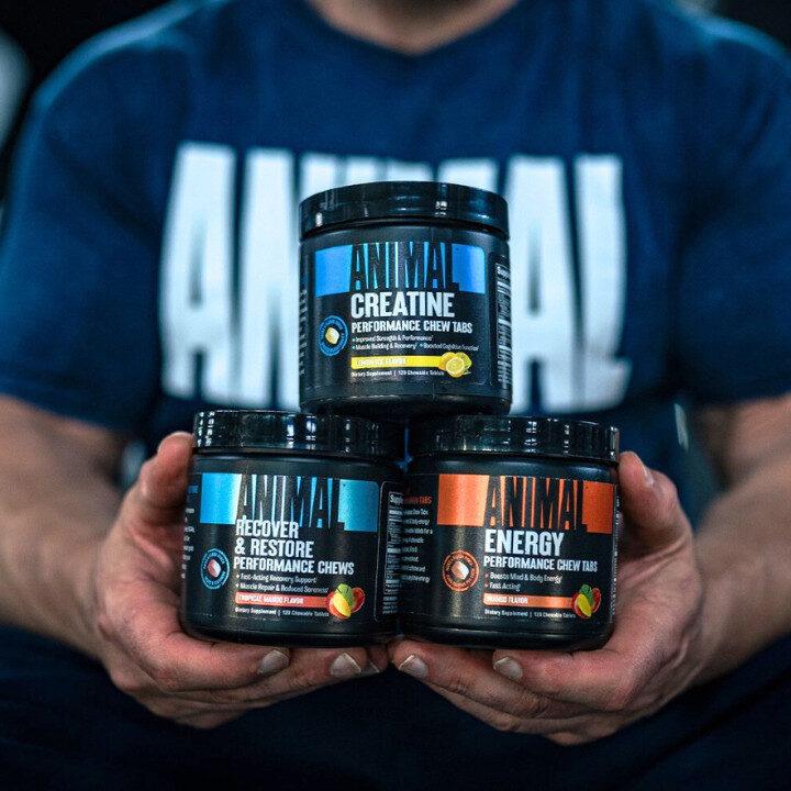 best creatine gummies animal